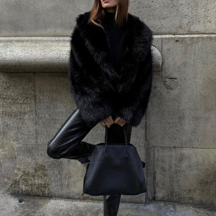 Collection image for: DAILYS